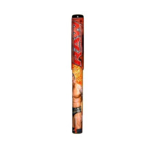Stylo bille Randy Orton avec capuchon WWE Catch