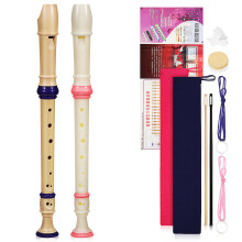 2Pcs Beginner Soprano Recorder Instrument Plastic Assorted Colors