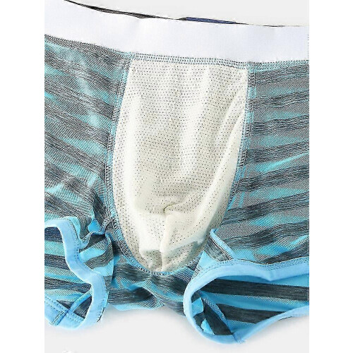 (S,Blue)Mens Striped Ice Silk Translucent Breathable Thin Elastic Mid Waist Boxers 2