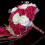 (Red and white) Korean Bouquets 5