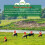 GPS Tracker Solar Powered Animal Locator 20000mAh AntiLost Device with Alarm Functions, History Playback, AntiTheft 4