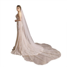 Bridal Veil With Comb Embroidered Leaves Trim, Sheer Tulle, 118 Inch Chapel Or Cathedral Length, Single Layer