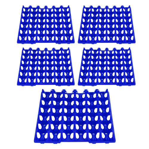 Plastic Egg Crate Flat with 30 Cells Egg Storage & Transport Tray Blue 1