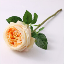 Künstliche Rose, detailgetreue Nachbildung, bionische Technologie, realistische Haptik, ungiftiges Material, farbecht, verstellbarer Stiel, ideal