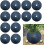Tree Mulch Ring Weed Control Mat Nonwoven Protector for Garden Plants 27cm Moisture Retention 4