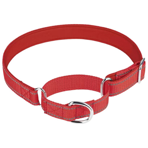 Dog Training Collar with NoPull Control, Adjustable HeavyDuty Nylon, Red for Medium Dogs