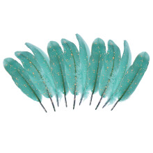 Cosplay Feather Set with Glitter Effect, Genuine Natural Goose Feathers Bulk for DIY Crafts, Wonderfully Versatile Feathers with Professional Cleaning
