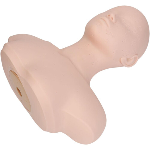 Mannequin Head with Shoulders For Massage Training, Acupuncture Points, Soft Touch,  Elasticity, Beauty Practice 2