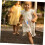 Pulling Rope Exercise Equipment for Arm Strength Training and Fun Physical Education for Kids 4