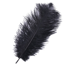 Soft Touch Ostrich Feathers Set for DIY Crafts Home Décor Gatsby Themed Parties Wedding Centerpiece Ideas Table Festival Decorations Cosplay Costume