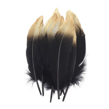 Pene de gâscă acoperite cu aur, naturale, pene naturale autentice, 15-20 cm, pentru decorarea nunții, moi la atingere, pachet de 10 bucăți,