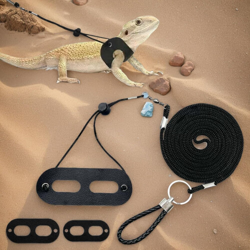 Bearded Dragon Harness and Leash Set with Adjustable Escape Proof Design for Outdoor Walking 1