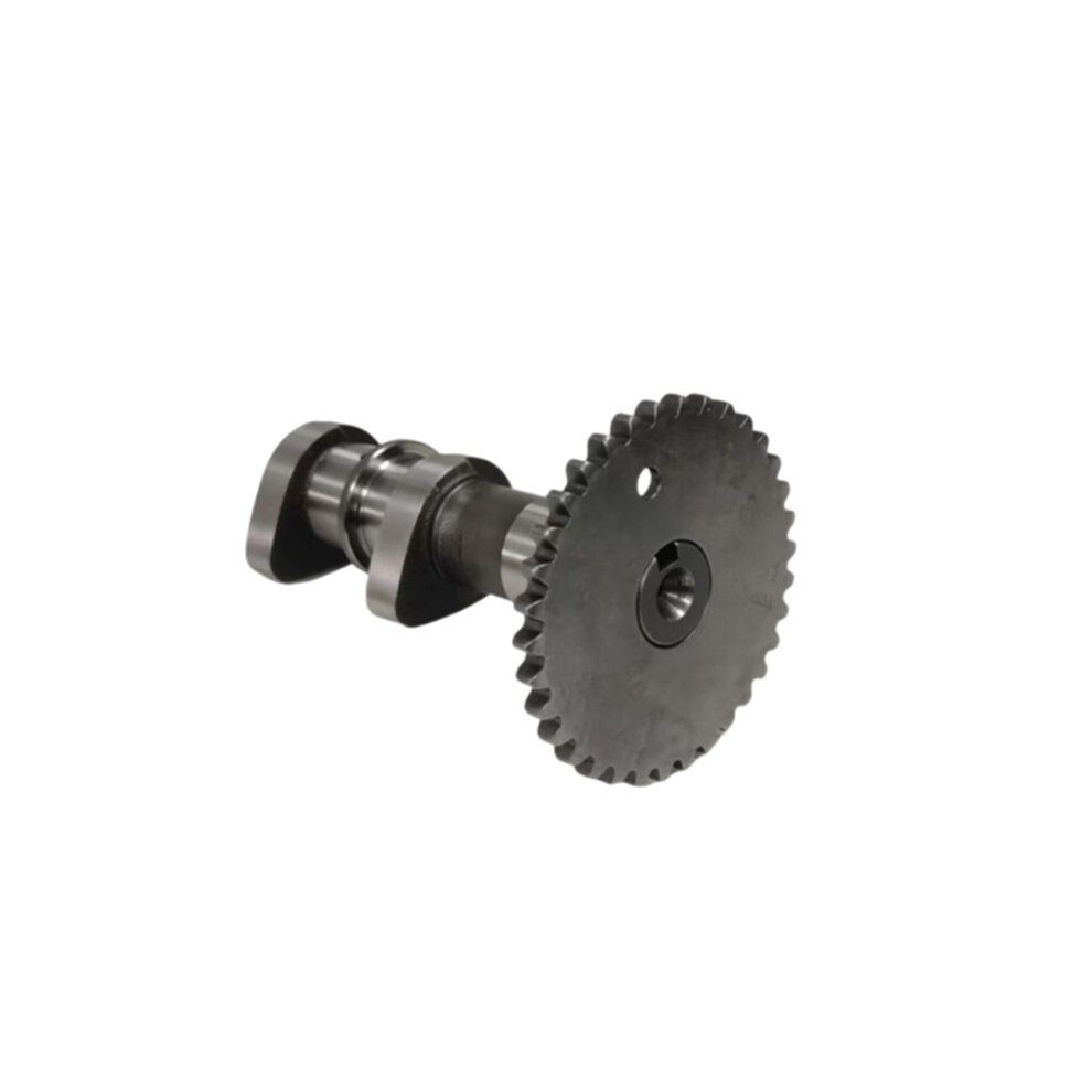 Motorcycle Parts Engine Intake Camshaft For Ltz400 Ltz400z 12710-07G00 6031636169575