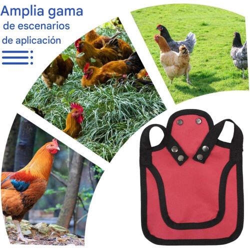 Chicken Saddle with Adjustable Straps, Breathable Hen Apron for Feather Protection, Red 2