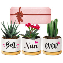 Giftasy Nan Gifts, Nan Birthday Gifts, Best Nan Ever Succulent Pots Gifts for Nan from Grandchildren, Unique Garden Gift Ideas for Nan on Mother's Day