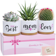 TuDou Gifts for Mum, Birthday for Mummy from Daughter Son Kids Baby, Unique Best Mum Ever Ceramic Succulent Plant Pots Indoor Gifts for Any Occasion,