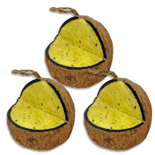 The Birdfood Warehouse XL Mealworm & Insect Suet Coconut Feeder, 3 Pack, Wild Bird Food, Hanging Feeder, Suet for Birds
