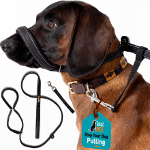 Total Pet Figure of 8 Dog Lead - Flat Anti Pull Stop Dogs Pulling ? Slip Leads Reflective with Padded Nose Support (210cm)