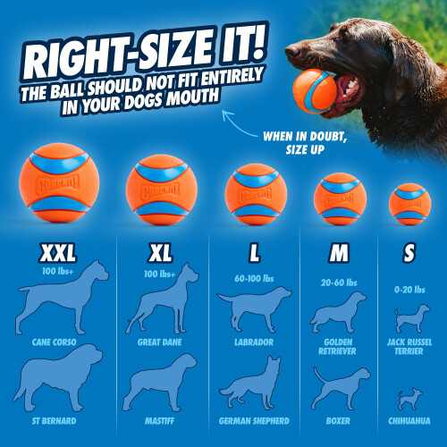 Chuckit! ChuckIt! Canine Hardware Medium Ultra Balls Classic 4-Pack,Orange 2