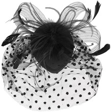 Retro Style Bird Cage Mesh Bridal Face  Feather Fascinator Headwear for Women(Black)