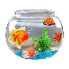 Mini Fish Bowl Clear ShatterResistant Bubble Bowl Vase For Table Centerpiece Small