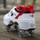 4 Wheel Adjustable Quad Roller Skates Boots EU Size 42, 2In1 MultiPurpose Walking Shoes 4