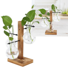 Hydroponische Glaskaraffe mit Kiefernholzständer, 21 cm, Wohn- & Bürodeko