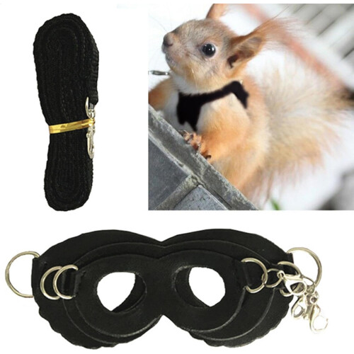 Set No Pull Vest Guinea Pig Forkless Hamster Belt And Lead Set Small Animals Black 2