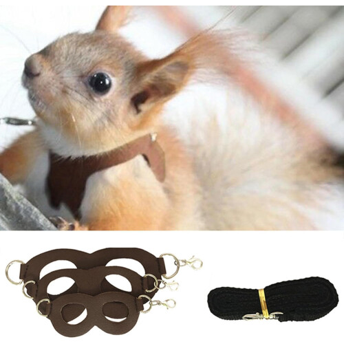 Set No Pull Vest Guinea Pig Forkless Hamster Belt And Lead Set Small Animals Black 1