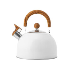 2.5L White Stainless Steel Whistling Tea Kettle for Stovetop, Fast Heating, Foldable Handle