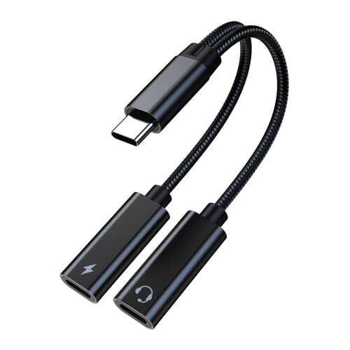 2-in-1 Dual Type C naar Type C-adapter-Zwart