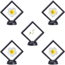 Collectors' Delight, Transparent Presentation Window Mini Size, Flexible Membranes for Medals Coins Stamps