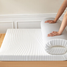 Queen Size Futon Mattress Topper 10cm Thick Breathable Foldable Pad with Washable Cover