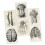Human Anatomy Chart 6Piece Decorative Skeleton Model Poster Set Anatomical Posters for Learning 1