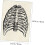 Human Anatomy Chart 6Piece Decorative Skeleton Model Poster Set Anatomical Posters for Learning 5