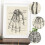 Human Anatomy Chart 6Piece Decorative Skeleton Model Poster Set Anatomical Posters for Learning 3