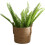 Wicker Planter Basket with Plastic Liner for Garden Decor and MultiPurpose Storage Use 3