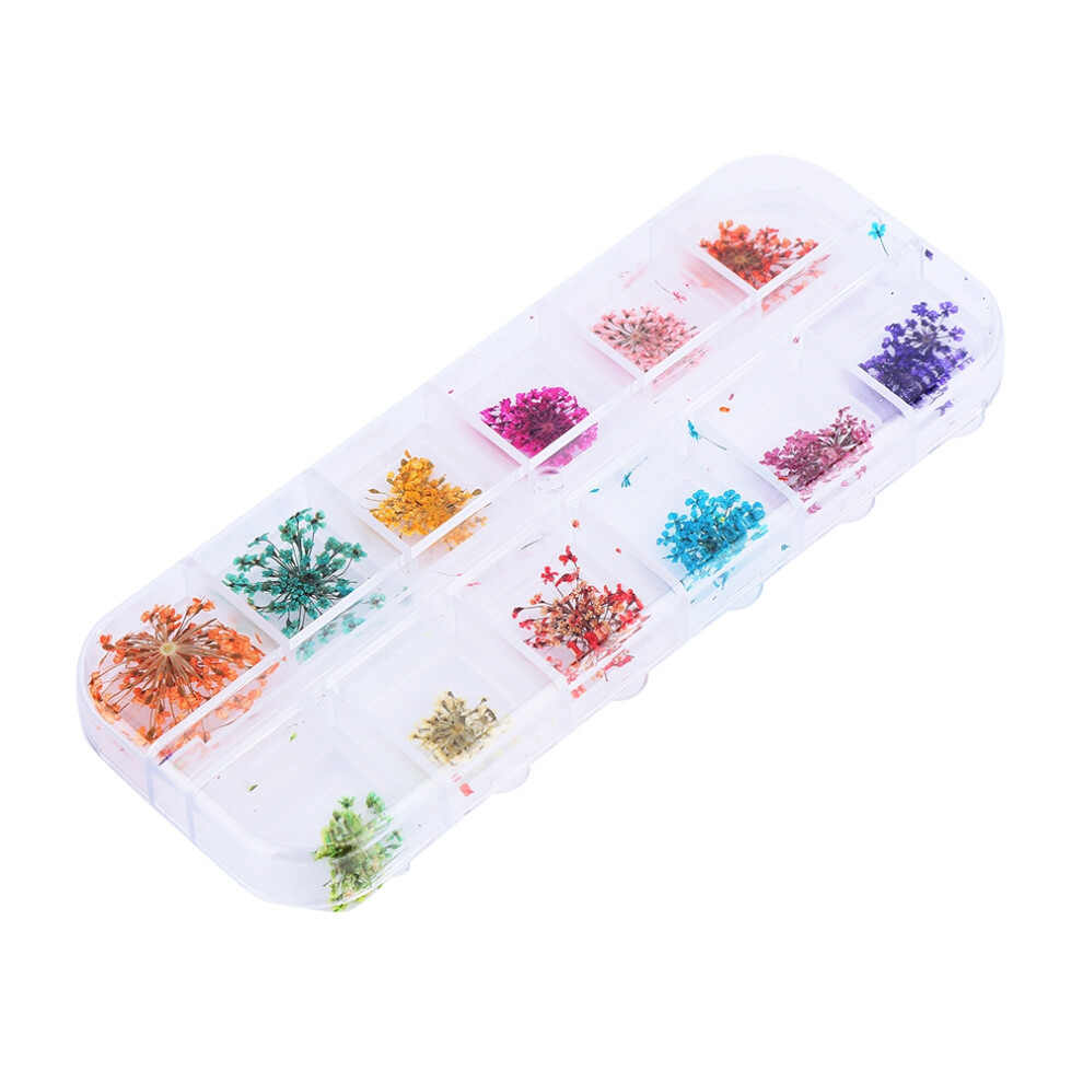 Dried Flowers for Nail Art, 3D Nail Decoration Natural Real Flower Colorful Dried Petals with Independent Case Packing, Easy to Use DIY Nail Stickers