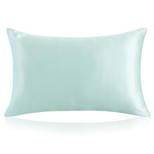 ZIMASILK 100% Pure Mulberry Silk Pillowcase for Hair and Skin Health,B