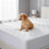 IMFAA Quilted Mattress Protector - Extra Deep Stretch Skirt– Mattress 7