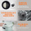Bear Small Rice Cooker 4 Cups Uncooked, 6 Cooking Functions, Advanced 6