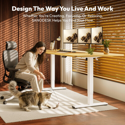 SANODESK 200 * 80 Electric Standing Desk Height Adjustable Standing De 1