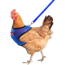 Chicken Harness Adjustable Buckle Fit with Leash for Poultry Walking Training Blue Size L