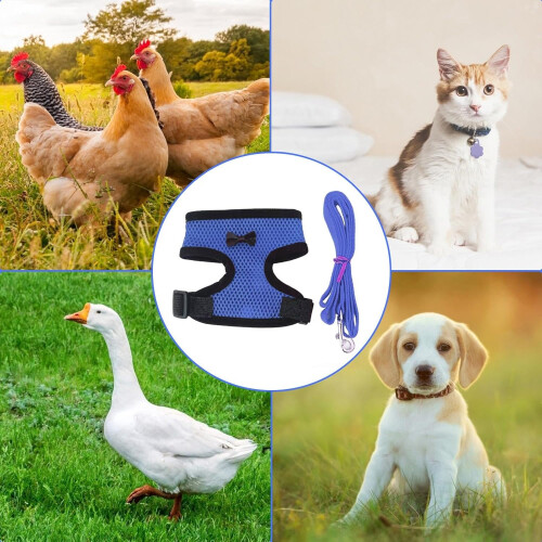 Chicken Harness Adjustable Buckle Fit with Leash for Poultry Walking Training Blue Size L 2