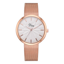 Beige Dial Women Watch with Luminous Function, Fashion Women Watches Stainless Steel Band Analog Timepiece Featuring Sapphire Crystal and Waterproof J