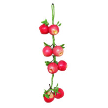 Guirlandes de fruits et légumes chauds,-Brochettes de pommes
