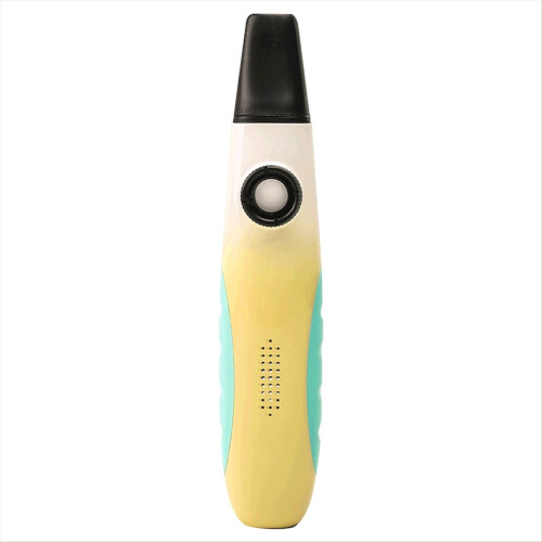 Professional Kazoo Easy to Learn Wind Instrument M