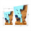 Seabed Exploration Organism Resin Table Light 2 Di 5