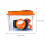 Bug Viewer Outdoor Insect Box Magnifier Observer K 4
