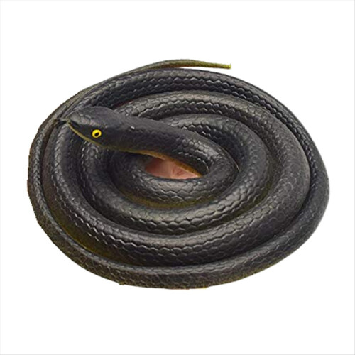 Snake Prank with String Clip - on Prank,Snake A Pr